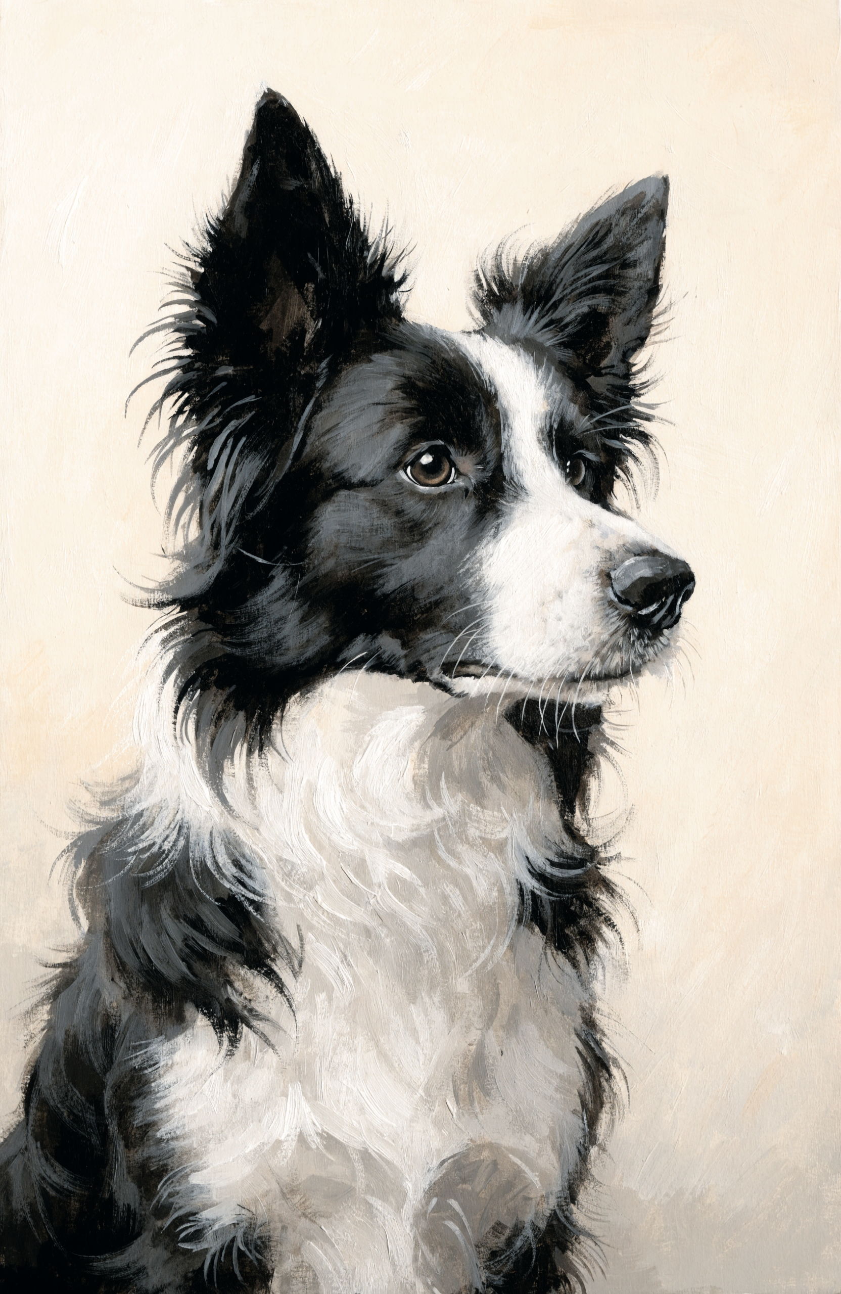 Beispiel-Portrait: Border Collie als gemalte Illustration — dein Hund wird nach deinem Foto gezeichnet