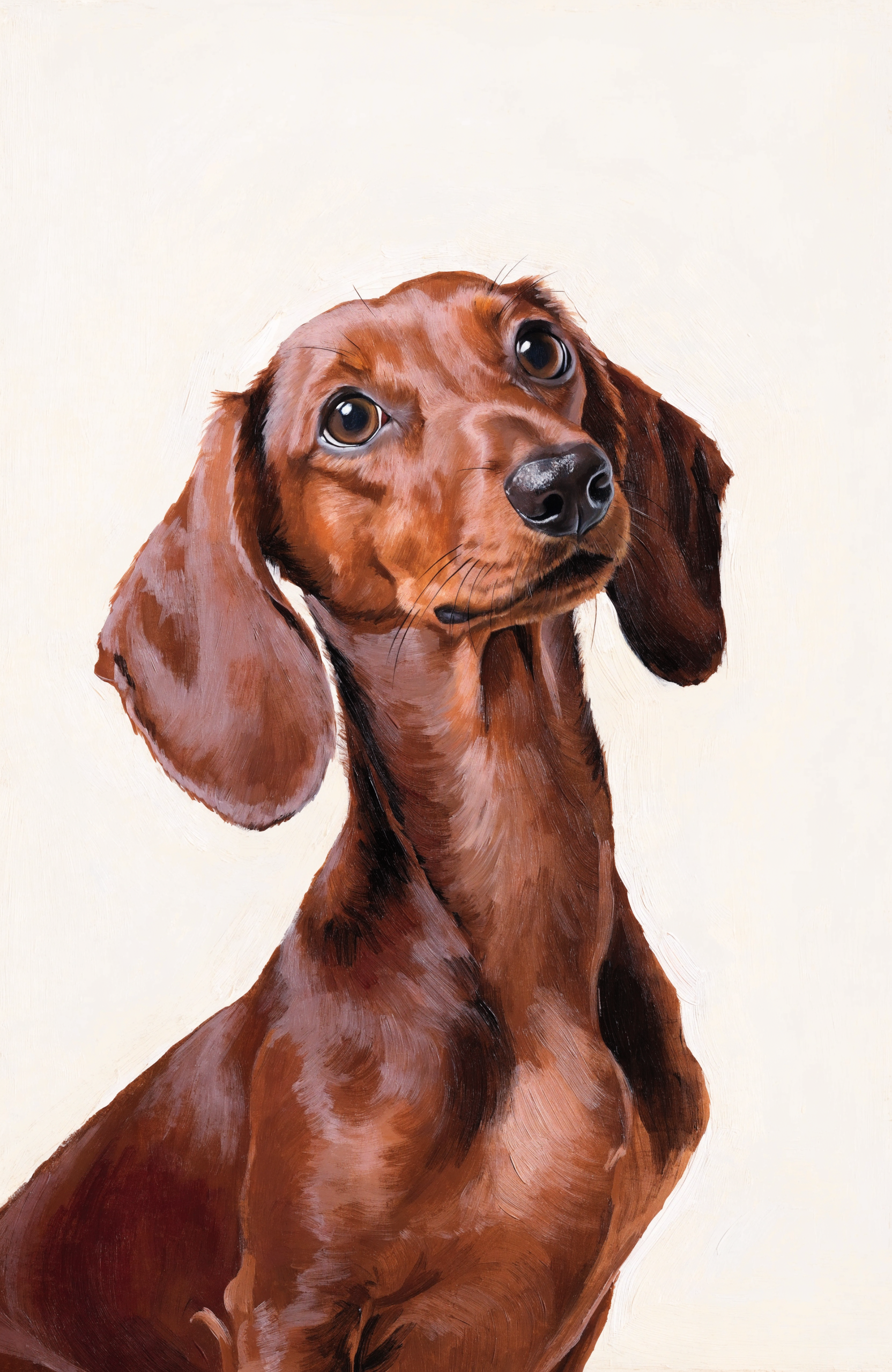 Beispiel-Portrait im Pfotengalerie-Stil — dein Tier wird nach deinem Foto gezeichnet: Dackel-Portrait 50×70 — dein Kurzer ganz gross